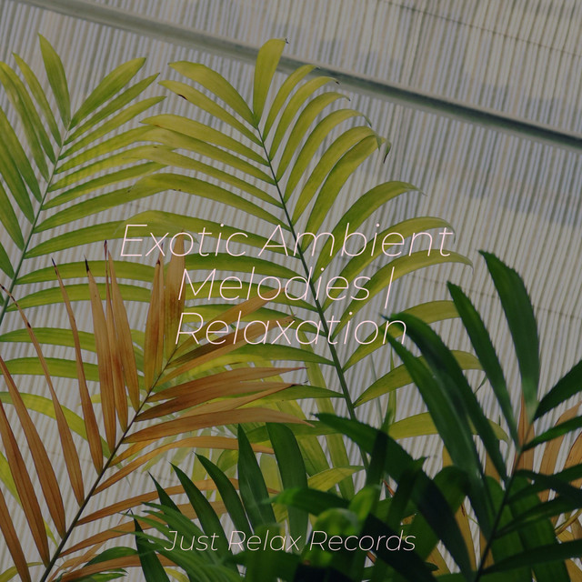 Exotic Ambient Melodies | Relaxation cover art