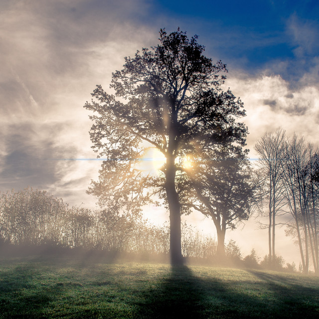 White Cloud cover art
