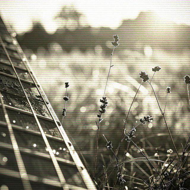 Single String Resonance cover art