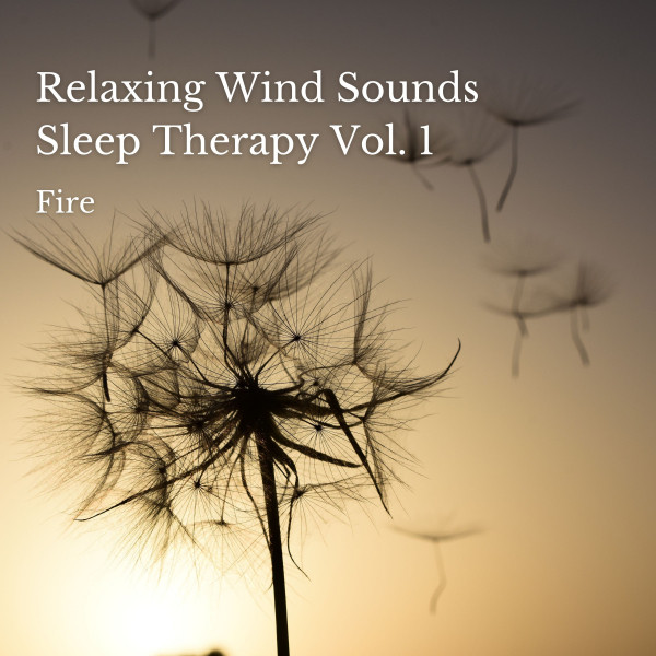 Fire: Relaxing Wind Sounds Sleep Therapy Vol. 1 - 1 Hour - Single by ...