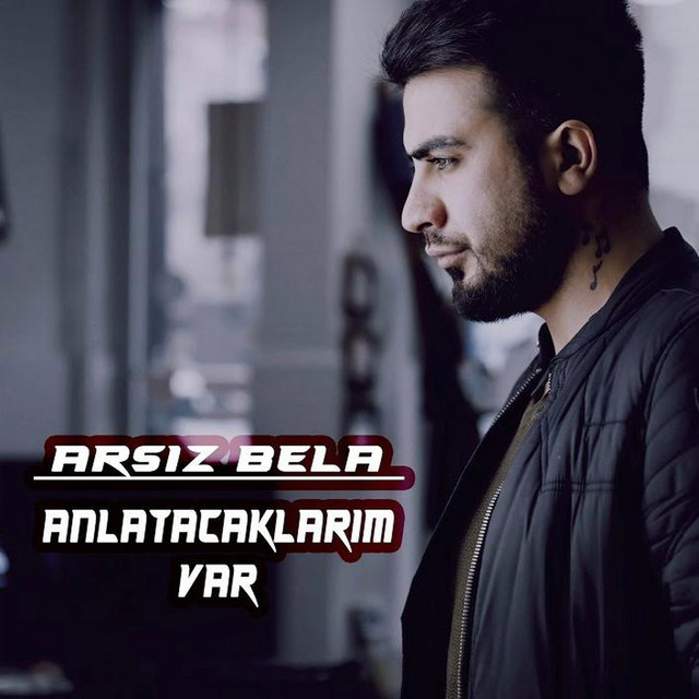 Anlatacaklarım Var cover art