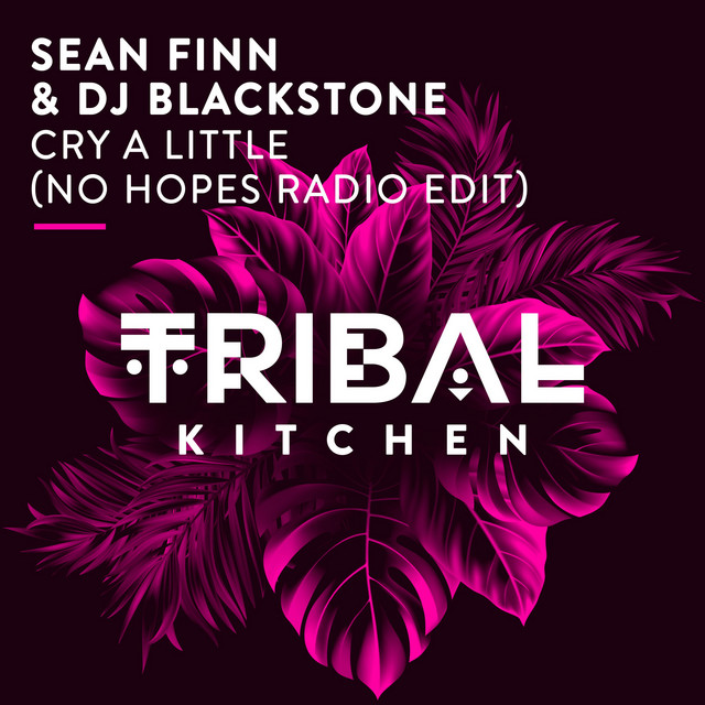 Cry a Little - No Hopes Radio Edit