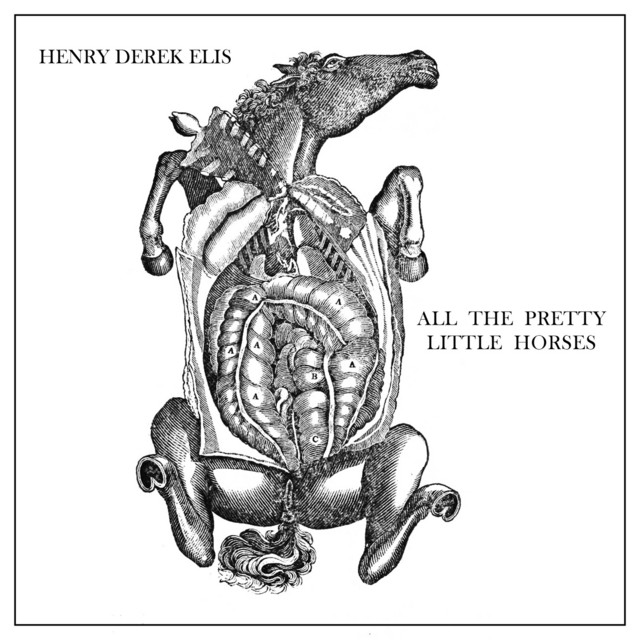 All the Pretty Little Horses cover