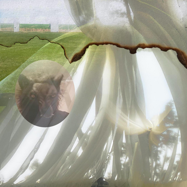 six cover art