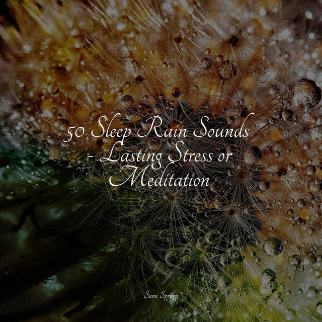 50 Sleep Rain Sounds - Lasting Stress or Meditation - Album by Zen ...