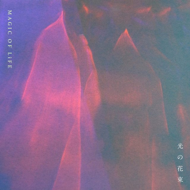 光の花束 cover art