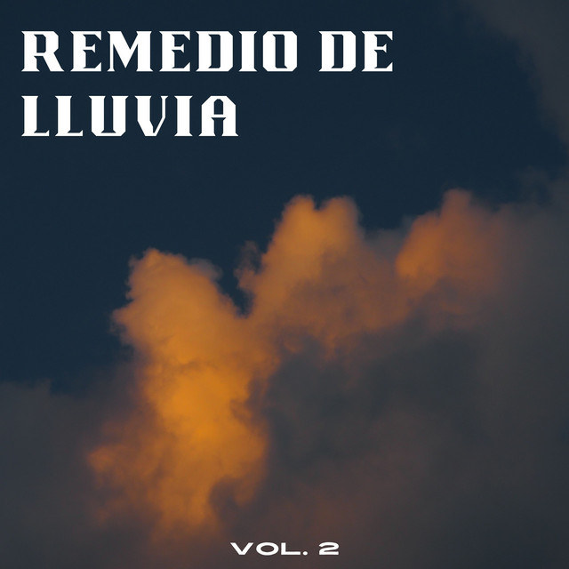 Remedio De Lluvia Vol. 2 - Album by Sonidos de lluvia pesada | Spotify