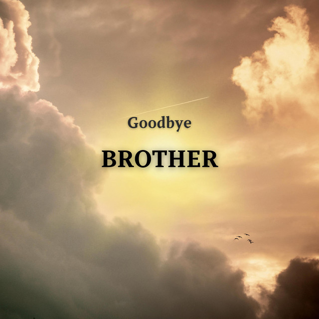 Обкладинка: Goodbye Brother (R.I.P Roman Petryk) — BBOY MUSIC