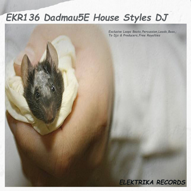 Dadmau5e House Styles DJ Tools