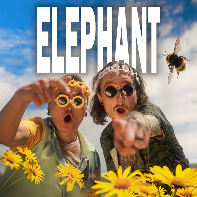 Elephant cover