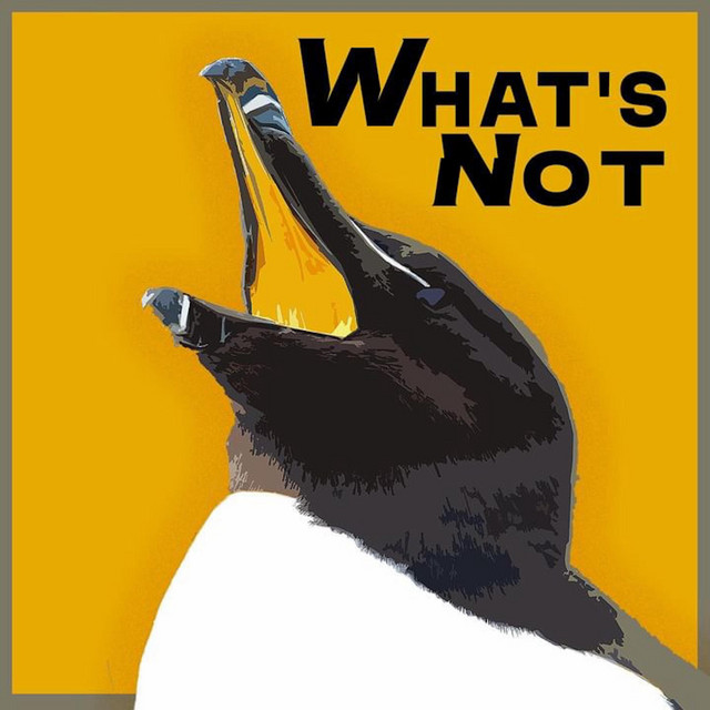 What's Not cover art