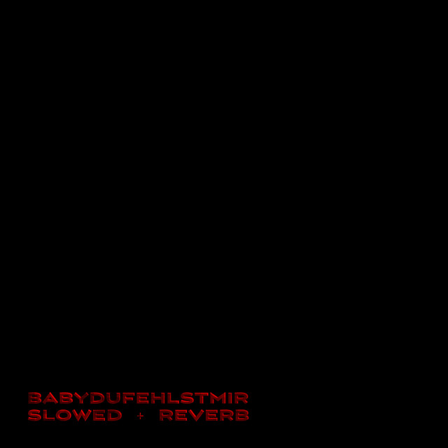 babydufehlstmir (Slowed + Reverb) cover
