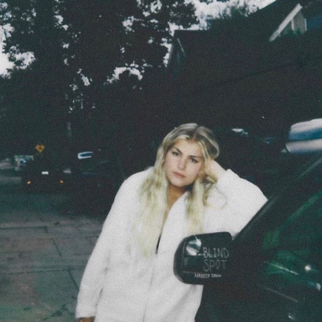 blind spot cover art