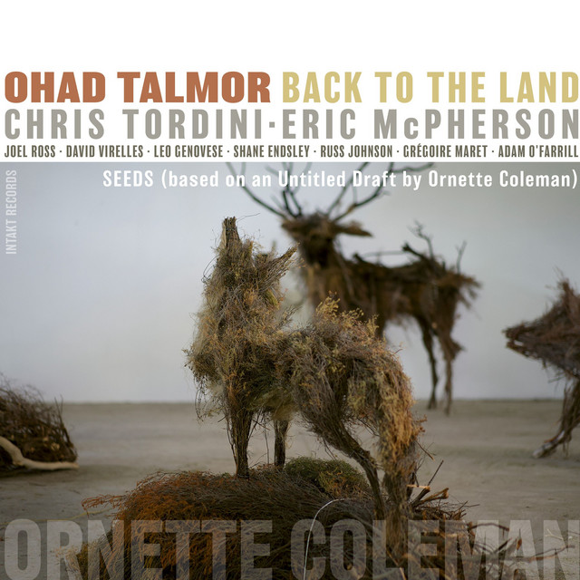 Seeds (Based on an Untitled Draft by Ornette Coleman)