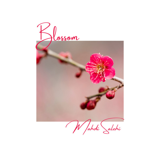 Blossom