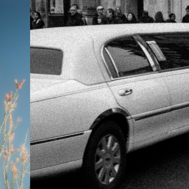Limousine cover art