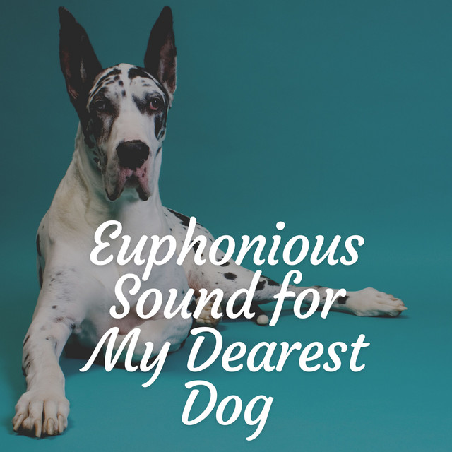Euphonious cover art