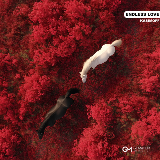 Endless Love album image