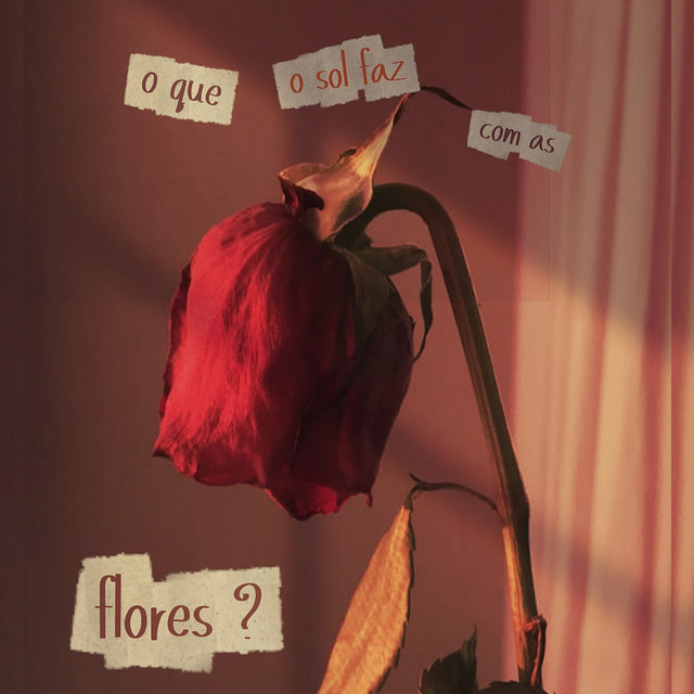 O Que o Sol Faz Com as Flores?
