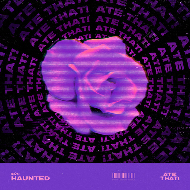Haunted cover art