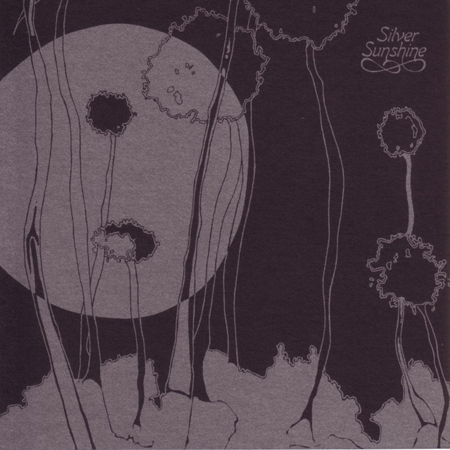 Silver Sunshine cover art