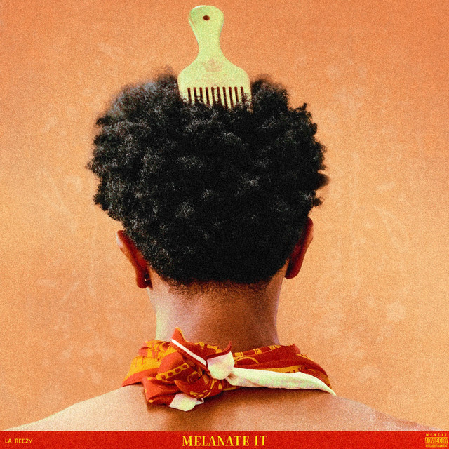 Melanate It by La Reezy