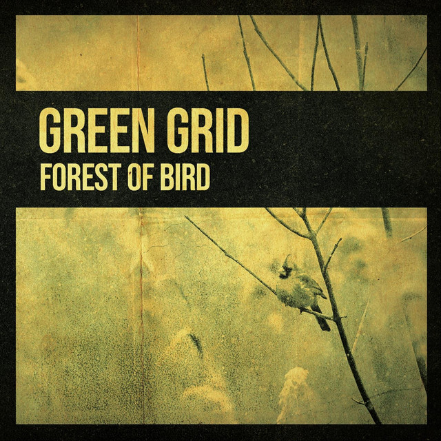 Forest of Bird cover art