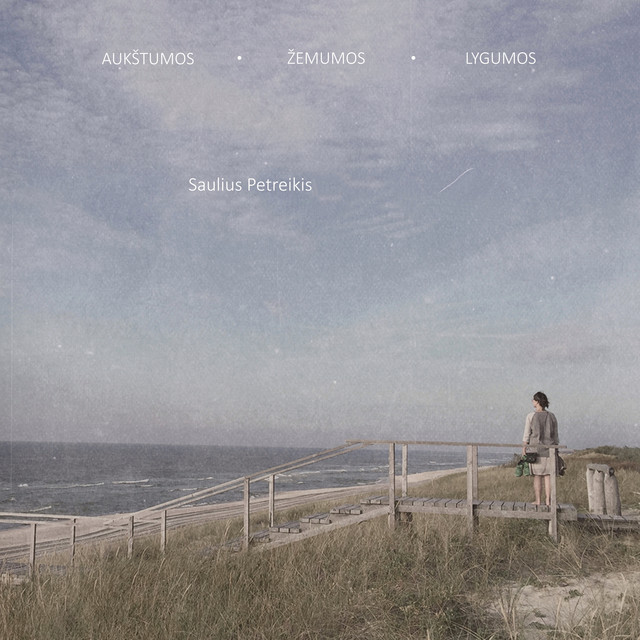 Aukštumos. Žemumos. Lygumos (Live 2016) cover art