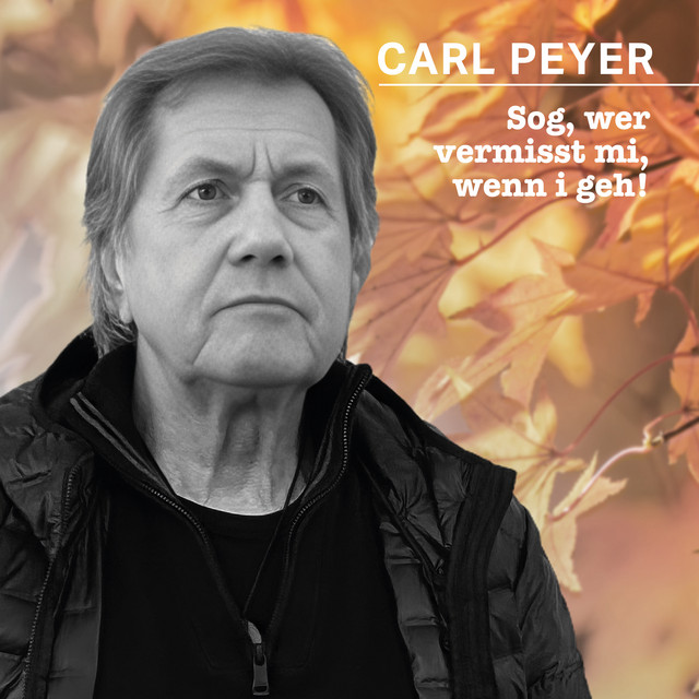 Sog, wer vermisst mi, wenn i geh! cover