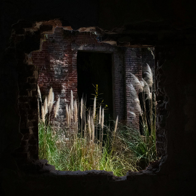 La Casa de Asterión cover art