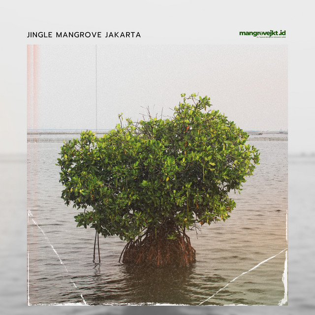 Mangrovejkt.id