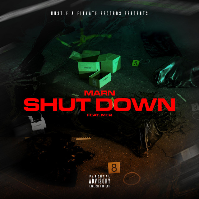 SHUT DOWN cover art