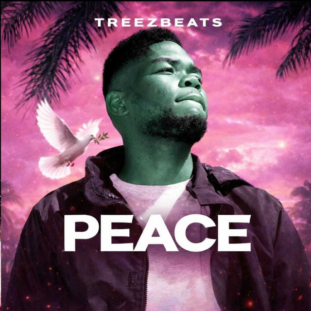 Rato Laka - Radio Edit - song and lyrics by TREEZBEATZ SA | Spotify