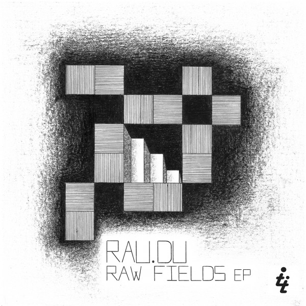 Raw Fields - Original Mix cover art