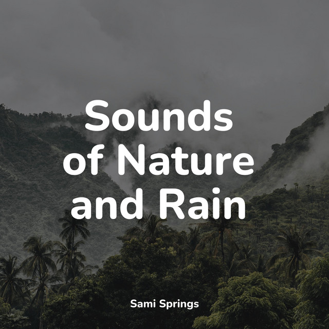 Sounds of Nature and Rain - Album by Rain Drops for Sleep | Spotify