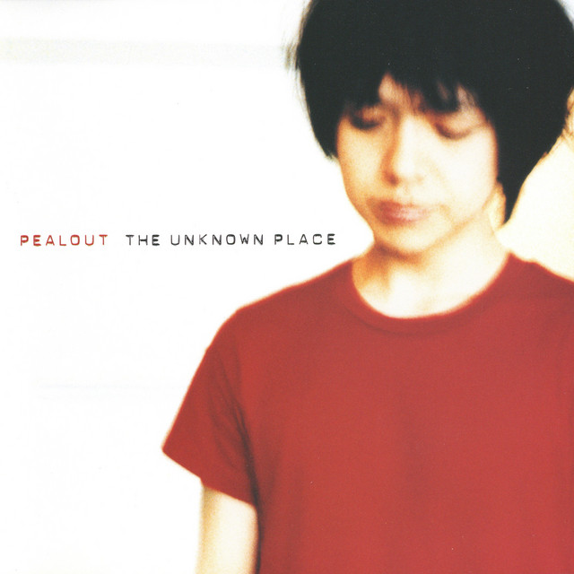 The Unknown Place cover art