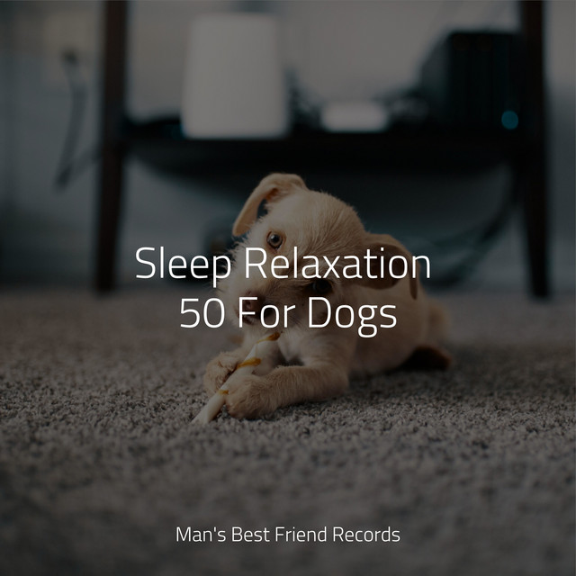 Sleep Relaxation 50 For Dogs - Album by Jazz Music Therapy for Dogs ...