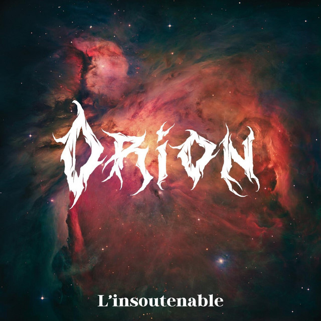 L'insoutenable cover art