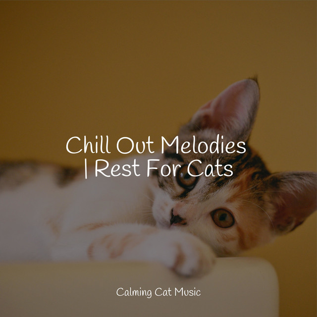 Chill Out Melodies | Rest For Cats cover art