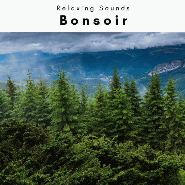 Bonsoir vol. 2 cover art