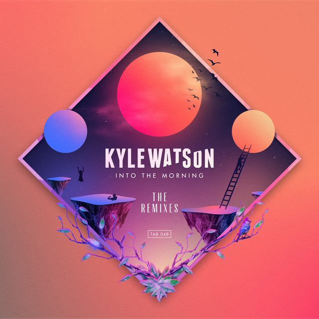 Into The Morning - The Remixes cover art