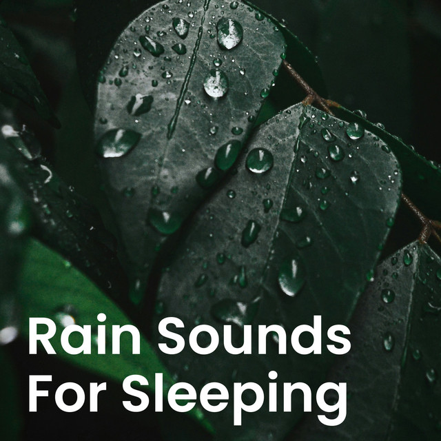 Rain Sounds for Sleeping