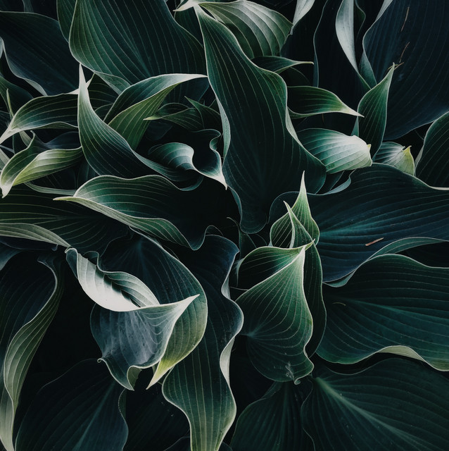 Unwinding Nature Melodies | Lazy Afternoon Vibes cover art