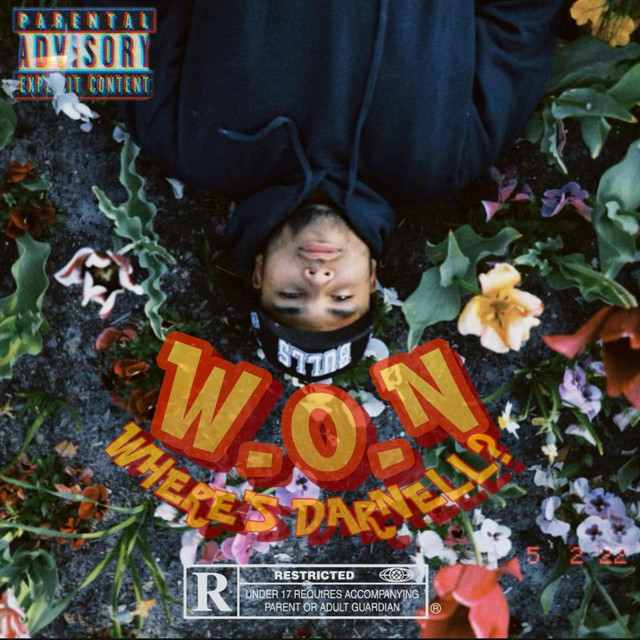 Where's Darnell cover art