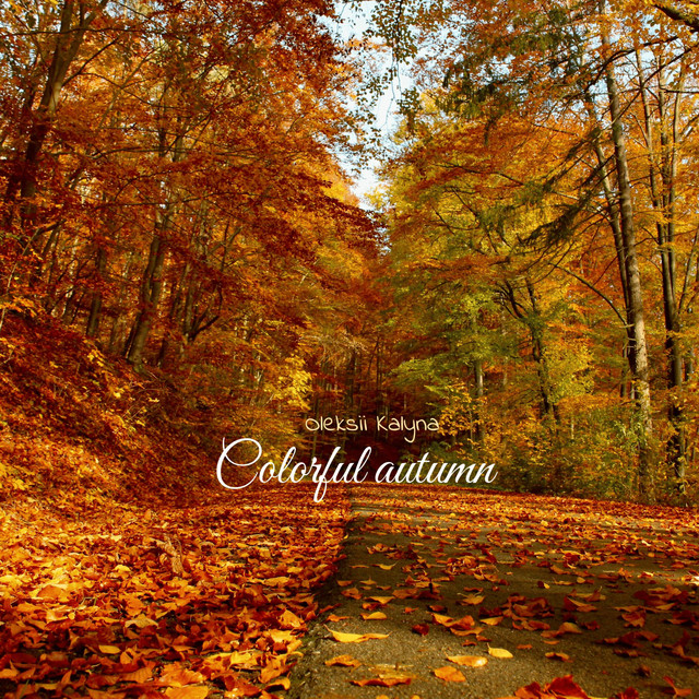 Cover art: Colorful autumn — Oleksii Kalyna