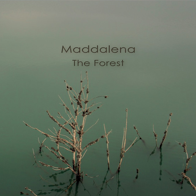 The Forest cover