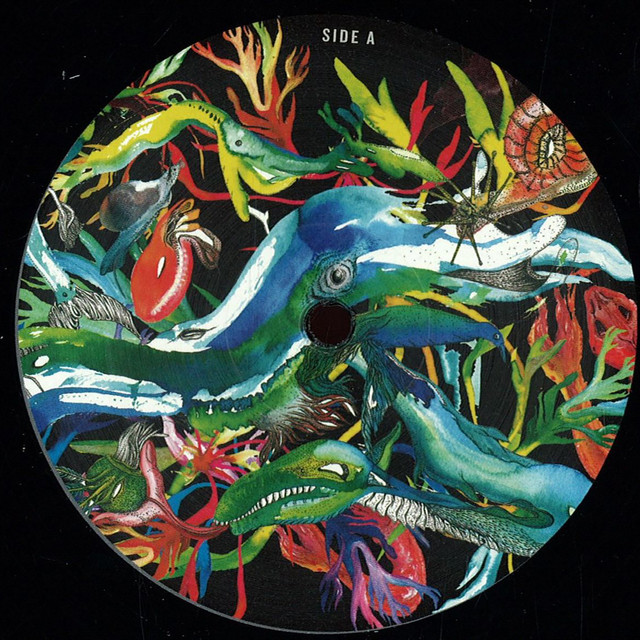 Seychelles to Rave cover art