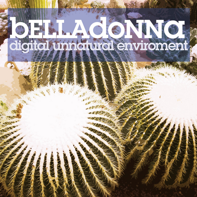 Digital Unnatural Environment cover art