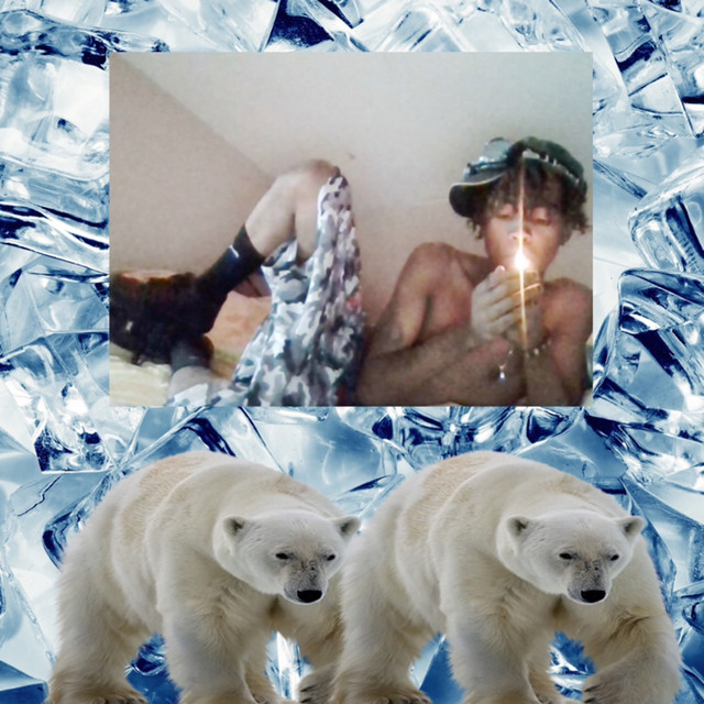 Polar Bear cover art