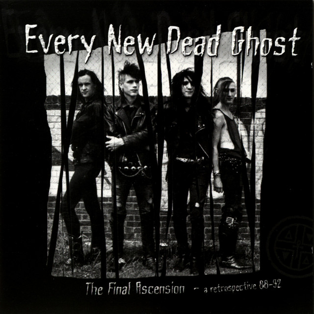 The Final Ascension cover art
